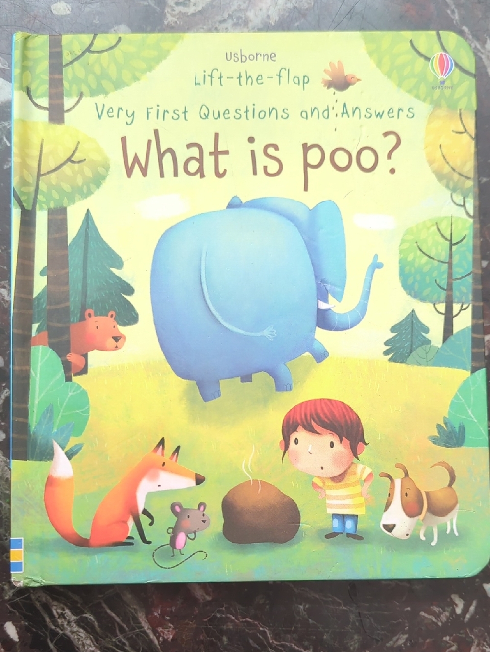 Usborne Lift-the-Flap Board Book - What Is Poo- Green and Blue